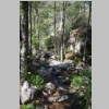 corse-evisa-sentier-des-chataigniers-piscines-aitone-62.JPG