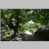 corse-evisa-sentier-des-chataigniers-piscines-aitone-6.JPG