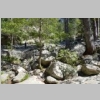 corse-evisa-sentier-des-chataigniers-piscines-aitone-78.JPG