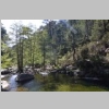 corse-evisa-sentier-des-chataigniers-piscines-aitone-85.JPG