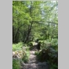 corse-evisa-sentier-des-chataigniers-piscines-aitone-94.JPG