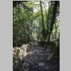corse-evisa-sentier-des-chataigniers-piscines-aitone-95.JPG