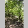corse-evisa-sentier-des-chataigniers-piscines-aitone-96.JPG