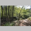 corse-evisa-sentier-des-chataigniers-piscines-aitone-97.JPG