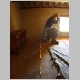 DSC05216.JPG