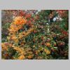 rando-coudouliere-cap-negre-2016-10-11-04.jpg