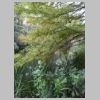 rando-coudouliere-cap-negre-2016-10-11-19.jpg