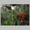 rando-coudouliere-cap-negre-2016-10-11-23.jpg
