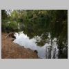 rando-coudouliere-cap-negre-2016-10-11-29.jpg