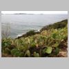 rando-coudouliere-cap-negre-2016-10-11-76.jpg