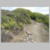 rando-coudouliere-cap-negre-2016-10-11-80.jpg
