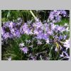 rando-coudouliere-cap-negre-2016-10-11-91.jpg