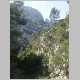 DSC13156.JPG