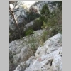 destel-abri-de-ferrandin-19.jpg