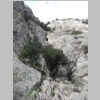 CIMG6795.JPG