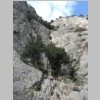 CIMG6796.JPG