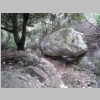 CIMG6889.JPG