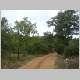 DSC08133.JPG