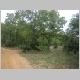 DSC08135.JPG