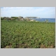 DSC07987.JPG