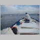 DSC08091.JPG