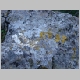 DSC08527.JPG