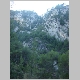 DSC08535.JPG