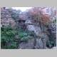 DSC08580.JPG