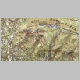 faron-59.jpg