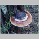 DSC01512.JPG