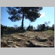 DSC01536.JPG
