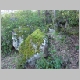 DSC01547.JPG