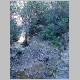 DSC01565.JPG