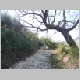 DSC02427.JPG