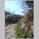 DSC02430.JPG