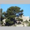 garlaban-gravures-grotte-manon-21.jpg