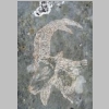 garlaban-gravures-grotte-manon-58.jpg