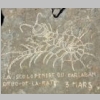 garlaban-gravures-grotte-manon-81.jpg