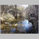 DSC05117.JPG