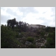 DSC05155.JPG