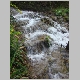 DSC03178.JPG