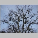 DSC01690.JPG