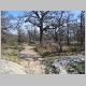 DSC03342.JPG