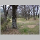 DSC03406.JPG