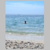 hyeres-giens-route-du-sel-plage-almanarre-56.jpg