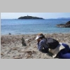2015-04-10-ile-des-embiez-42.jpg
