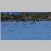 2015-04-10-ile-des-embiez-66.jpg