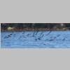 2015-04-10-ile-des-embiez-67-2.jpg