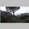 la-ciotat-falaises-soubeyranes-grottes-arche-142-2.jpg