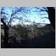 DSC09983.JPG